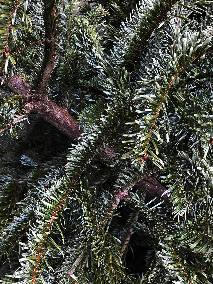 BLOKJE kerstboom / S