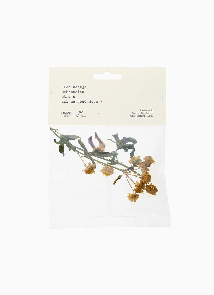 NIEUW! ONZE x Poeticara / Kaasjeskruid zaadjes (limited edition)