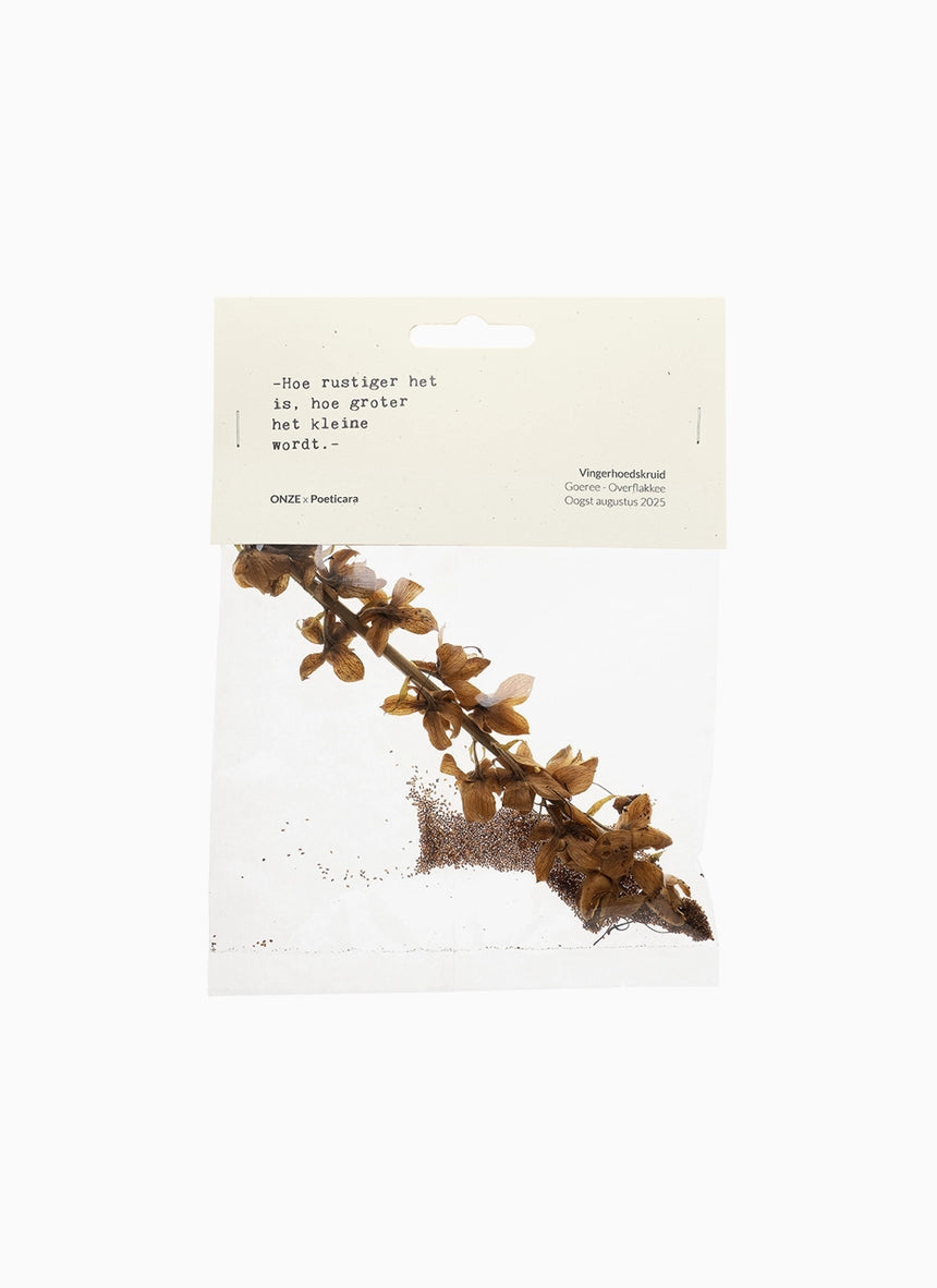 ONZE x Poeticara / Vingerhoedskruid zaadjes (limited edition)