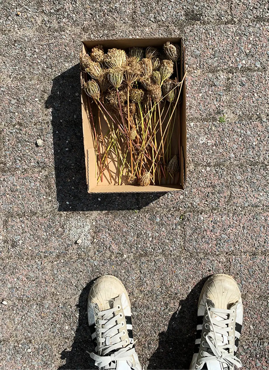 ONZE x Poeticara / Wilde Peen zaadjes (limited edition)